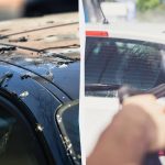 Linnut eivät enää paskanna autoja: näin sinun on toimittava Linnut eivät enää paskanna autoja: näin sinun on toimittava