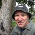 Ontto puu ei ole tuomio: todistettu tapa pidentää puun elinikää Ontto puu ei ole tuomio: todistettu tapa pidentää puun elinikää