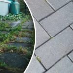 Pihan rikkaruohot katoavat yhdessä yössä, jos suihkutat niitä yhdellä keittiövälineellä. Pihan rikkaruohot katoavat yhdessä yössä, jos suihkutat niitä yhdellä keittiövälineellä.