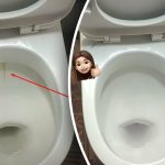 Yksi tuote valkaisee wc-altaasi loistavaksi: näin torjut plakin ja lian 15 minuutissa Yksi tuote valkaisee wc-altaasi loistavaksi: näin torjut plakin ja lian